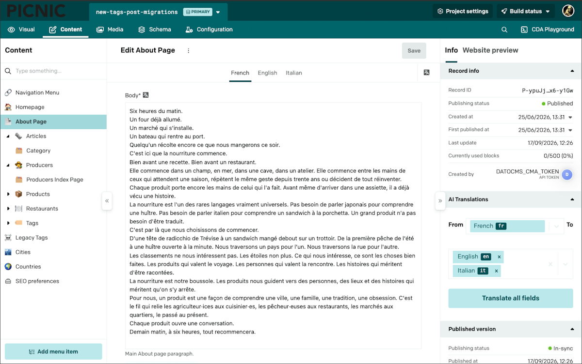 The Picnic Guide - DatoCMS Page editing with translation plugin