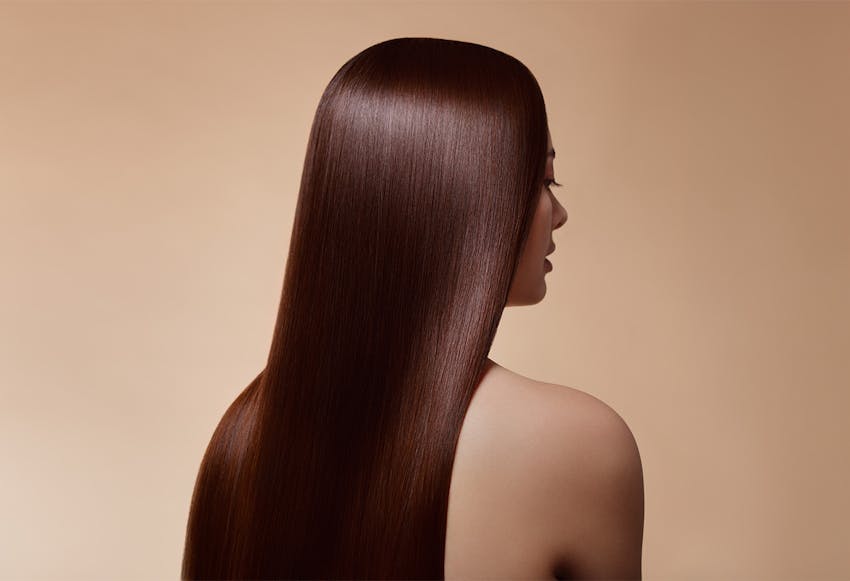 back side of womans head