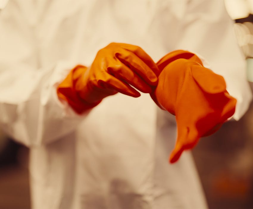 scientist putting on rubber gloves