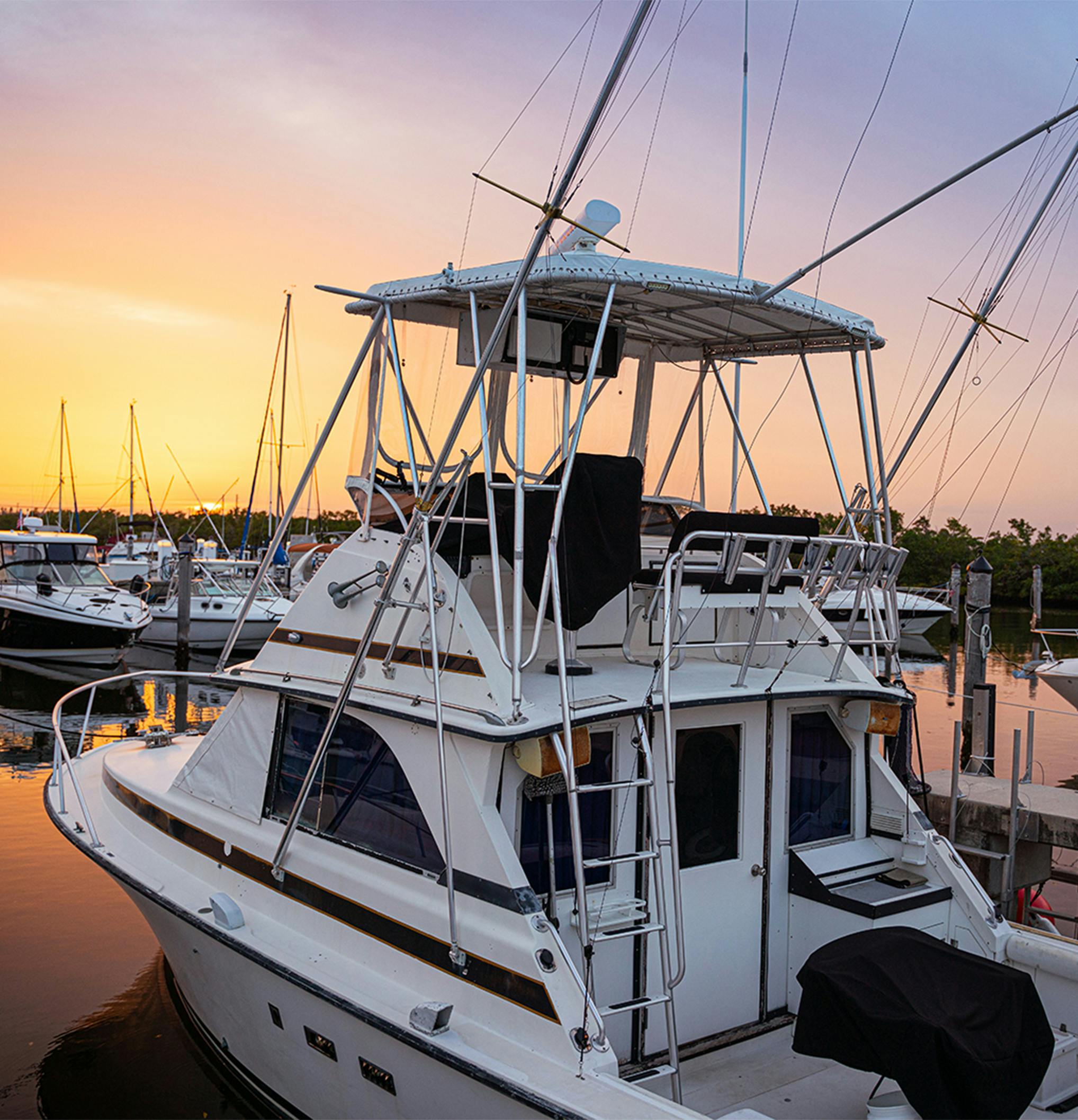 A boat in a marina