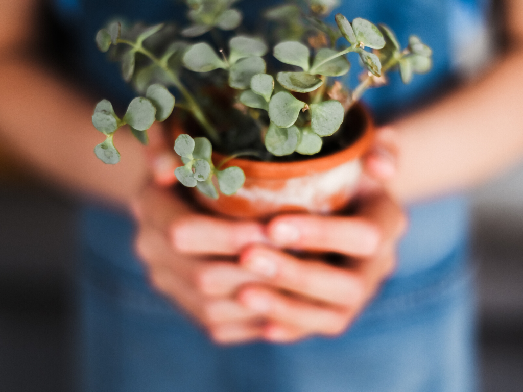7 Affordable Valentine’s Day Ideas