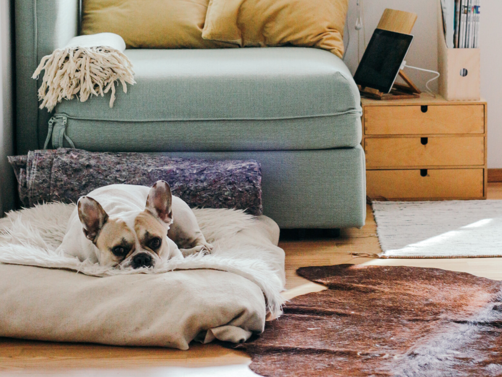 The Pros and Cons of Buying a House