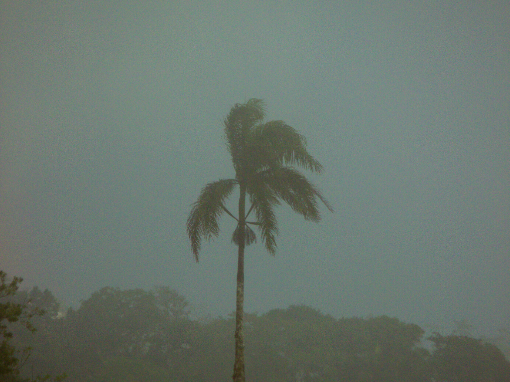 Ultimate Hurricane Prep Guide [2024]