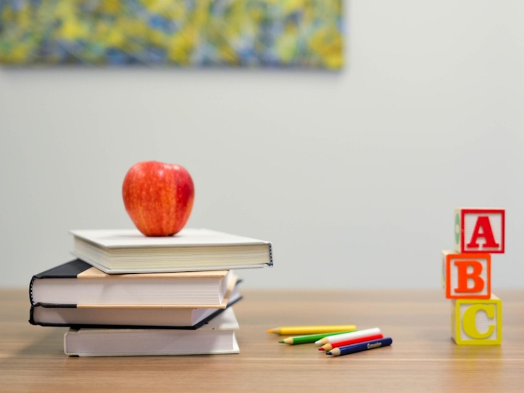 Guía completa sobre el sistema educativo en Estados Unidos