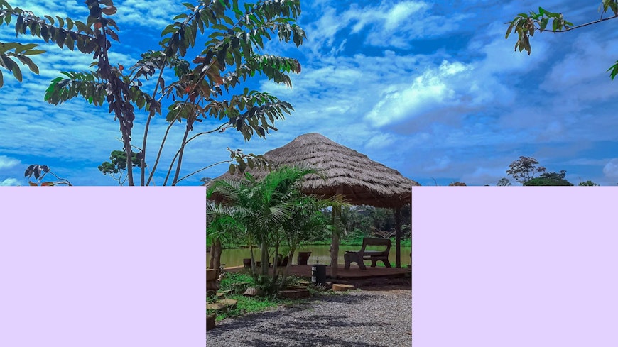 How to send cash pickup to Cameroon with MAJORITY