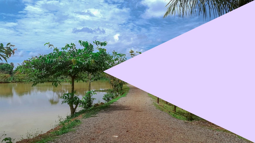 Send money to Cameroon with no transfer fees