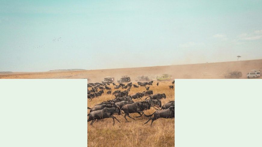 How to send a bank transfer to Kenya with MAJORITY