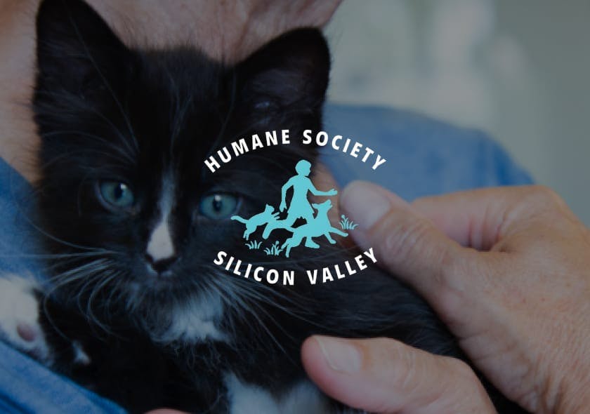 Humane Society Silicon Valley logo