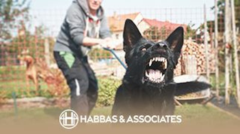 Habbas Law infographic