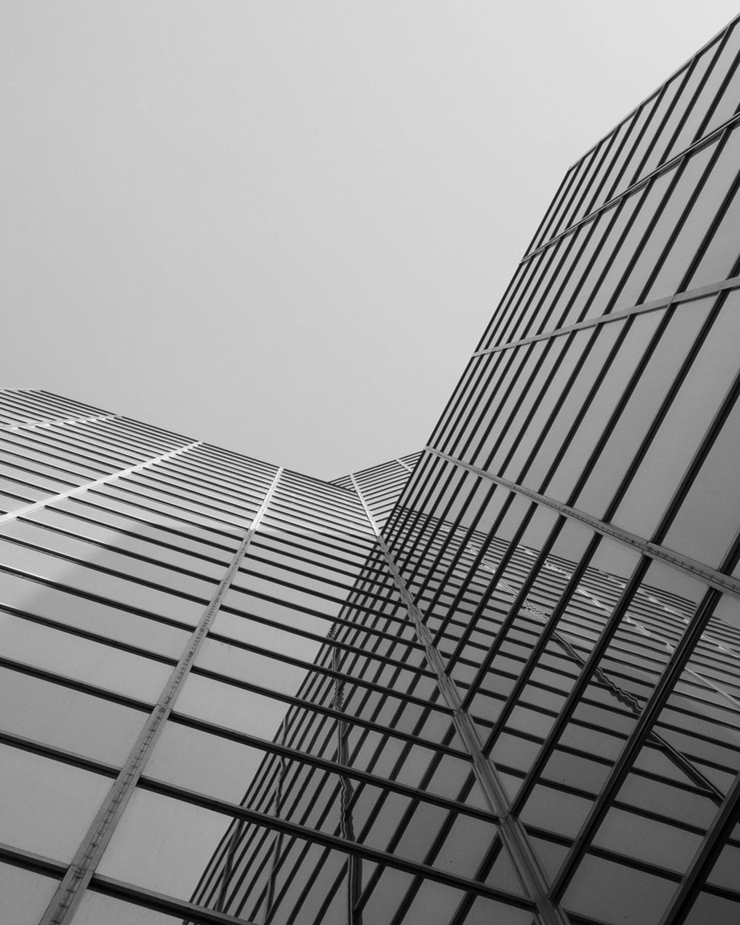 building covered in windows