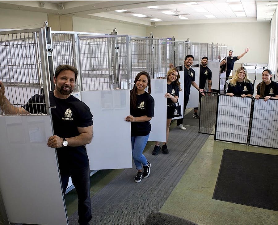 Habbas at an animal shelter