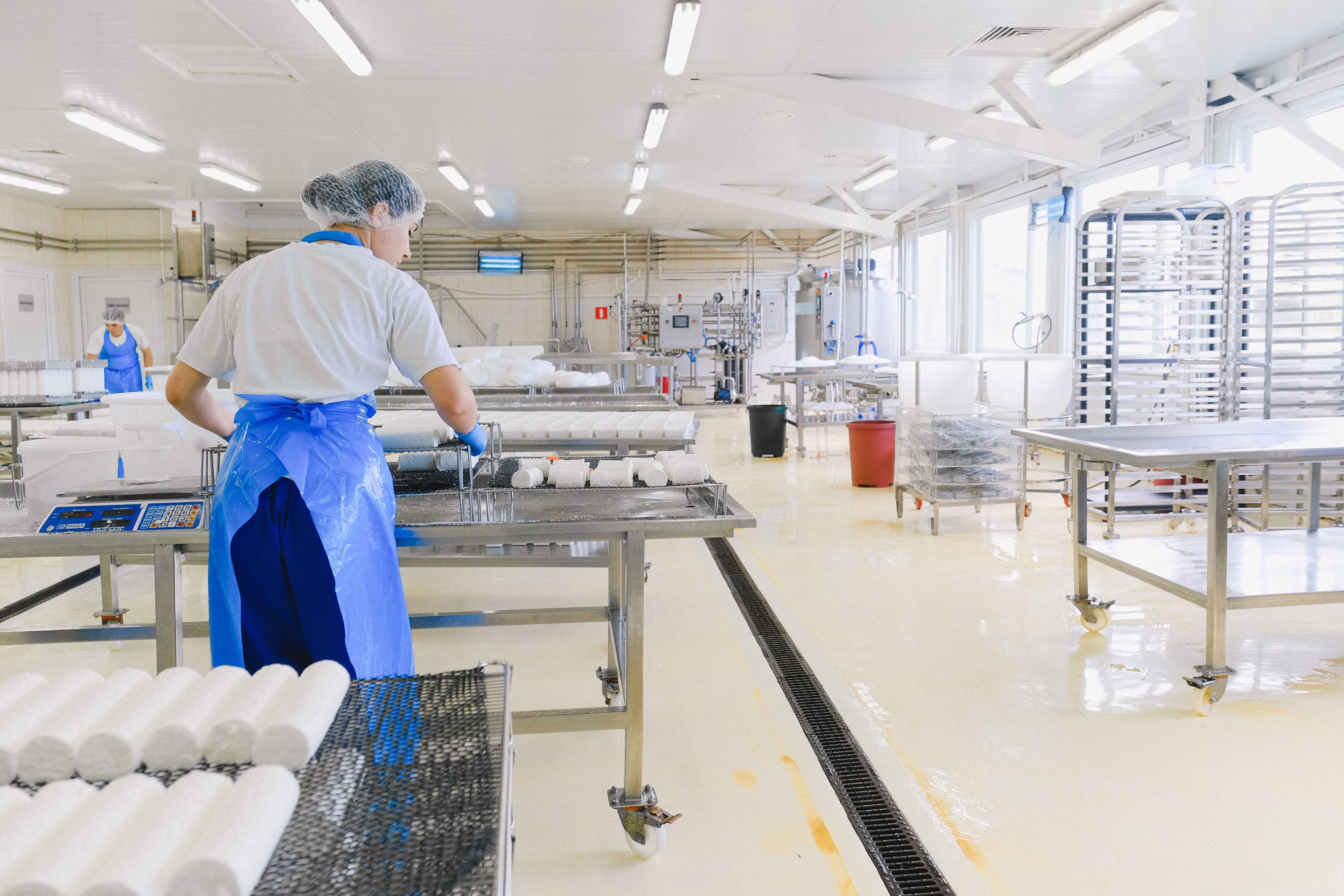 Worker handling cheese rolls in a production hall