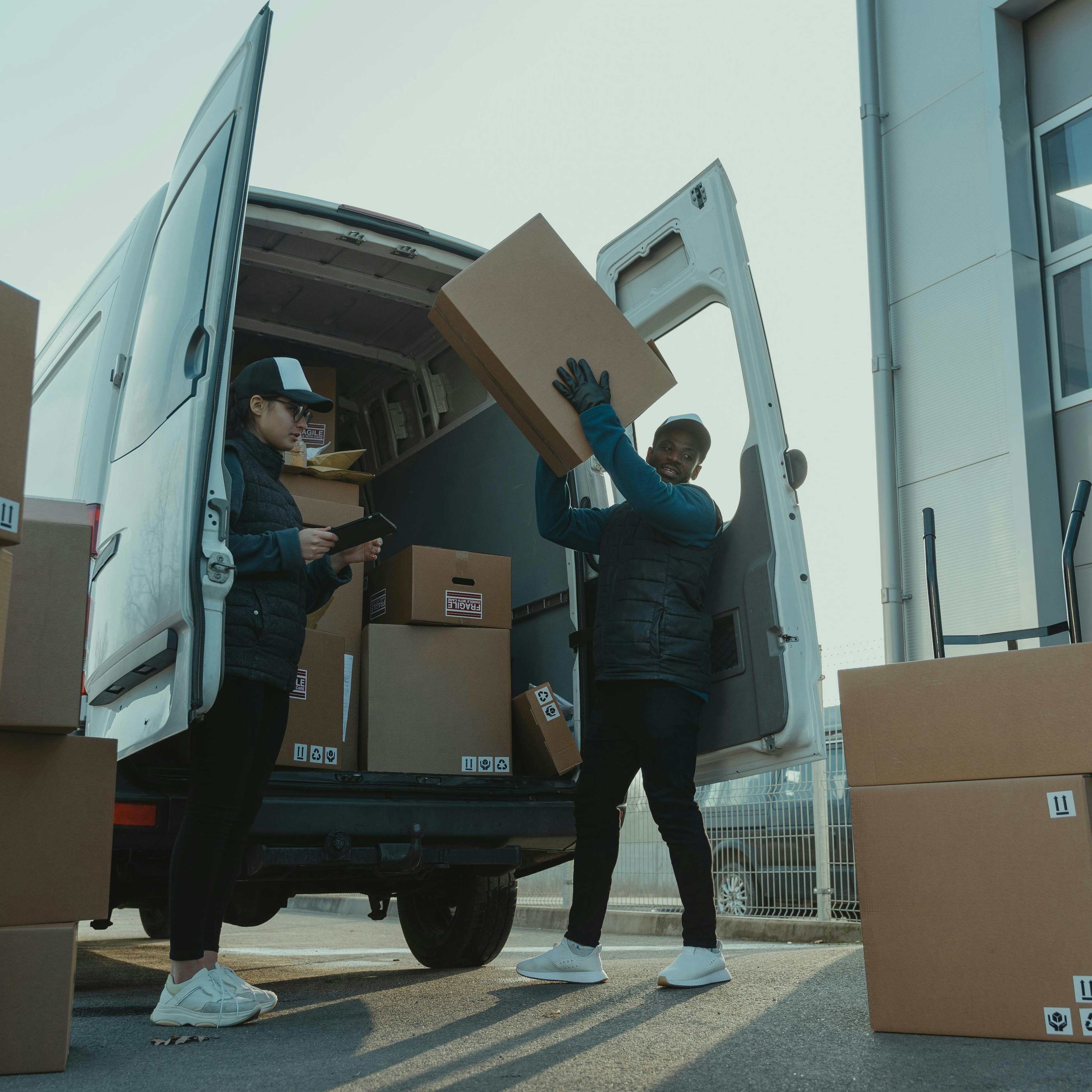 logistica