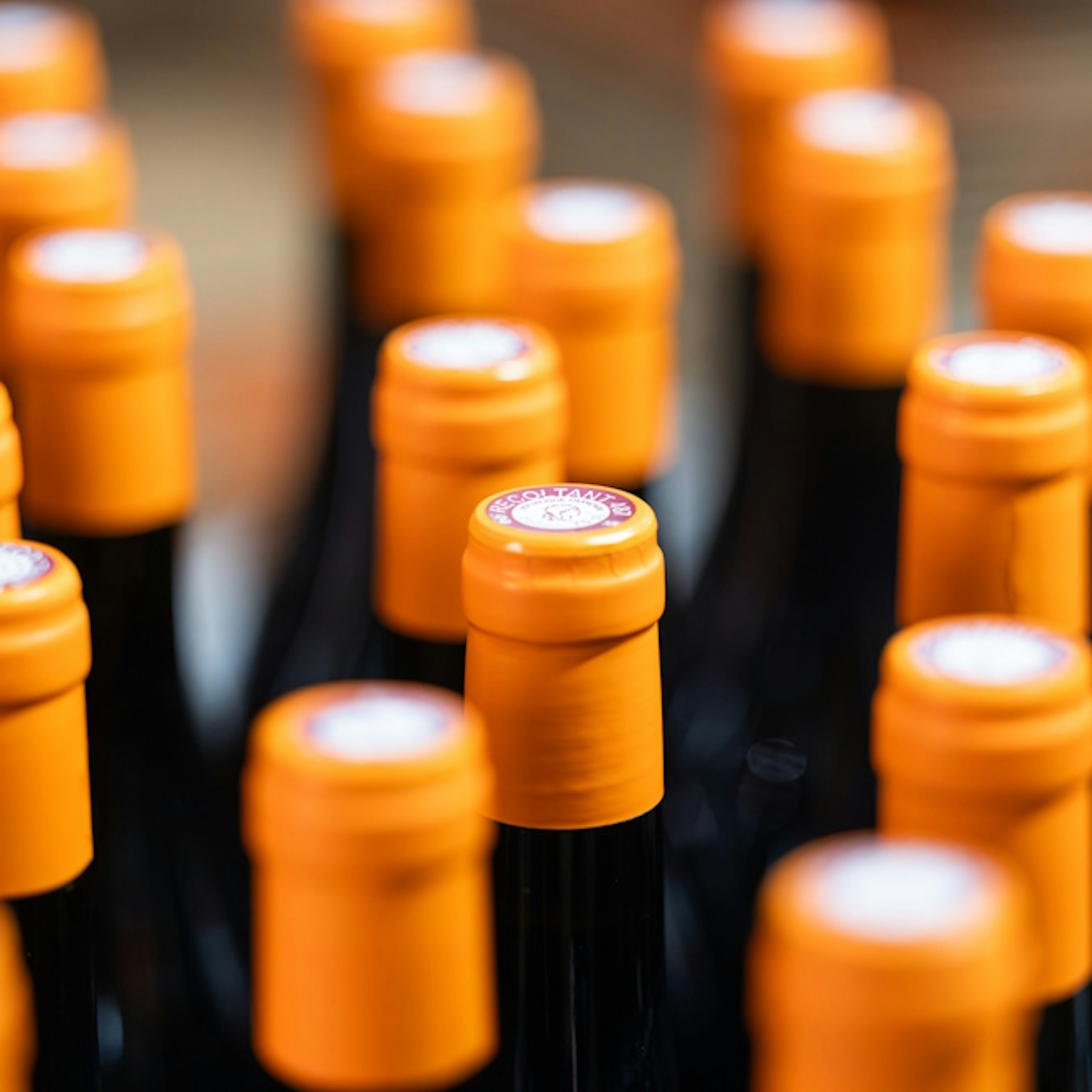cazes-advini-dynapps-odoo-bottles-image