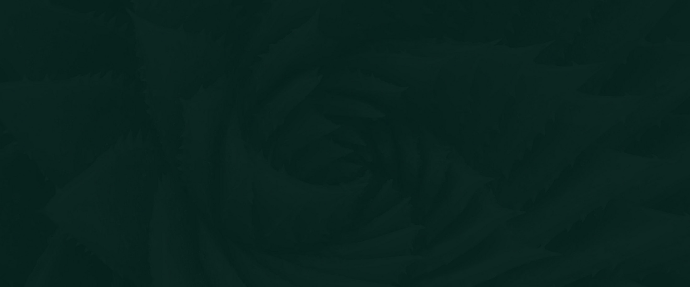 Banner media