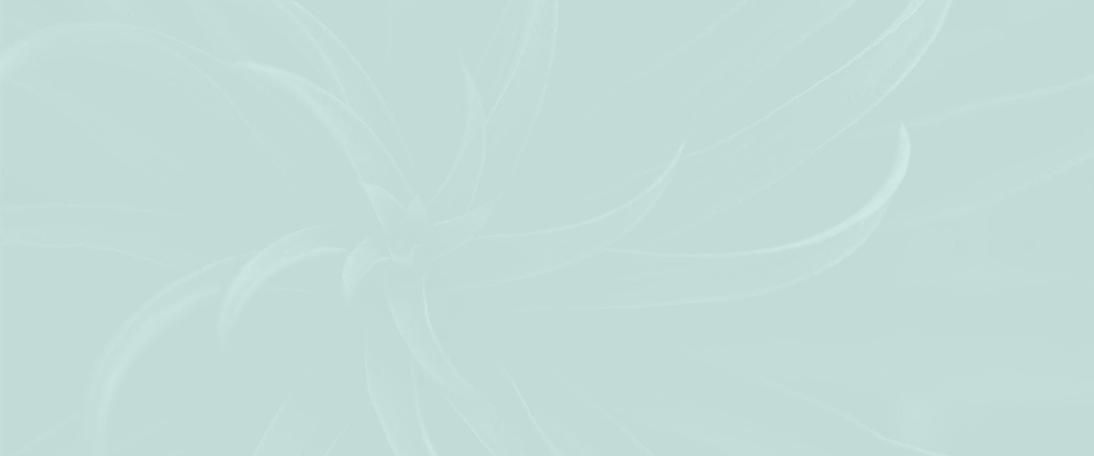 Banner media