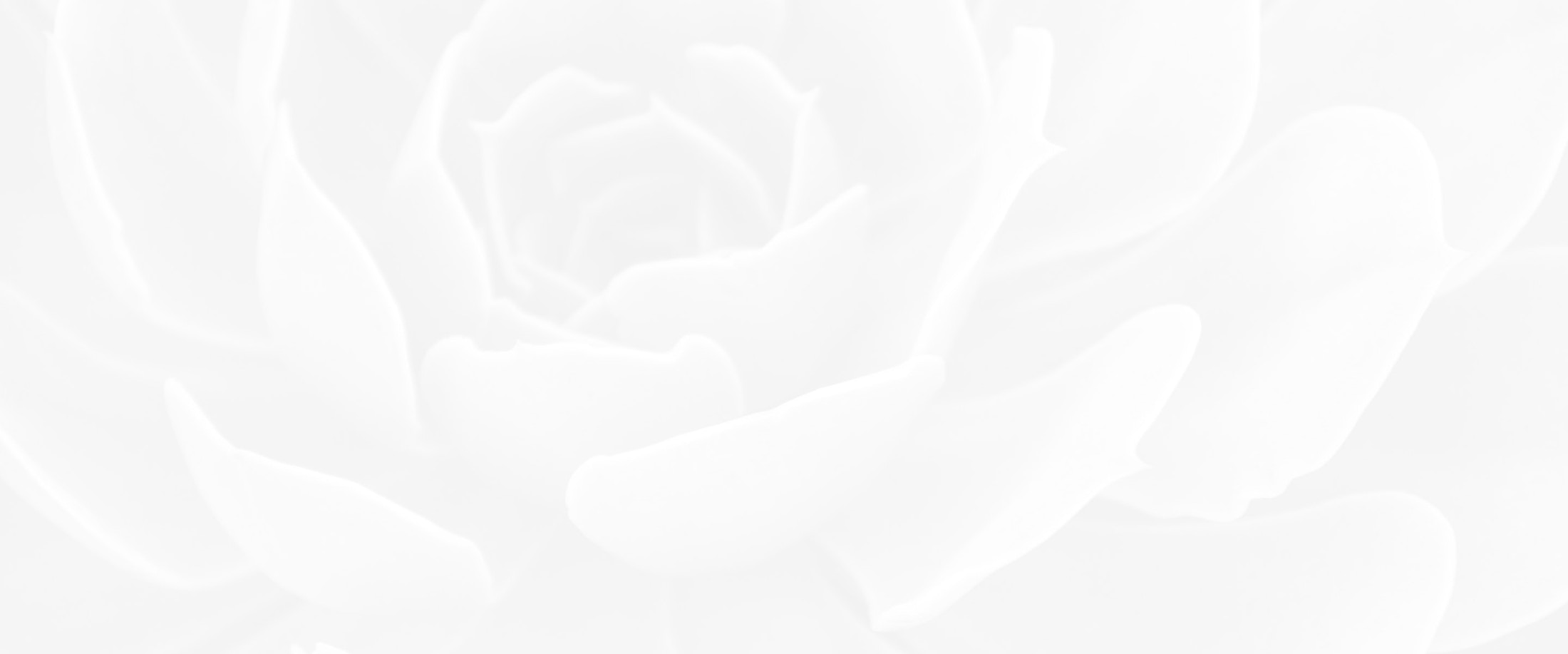 Banner media