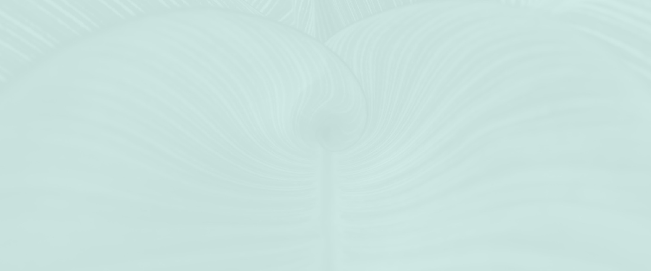 Banner media