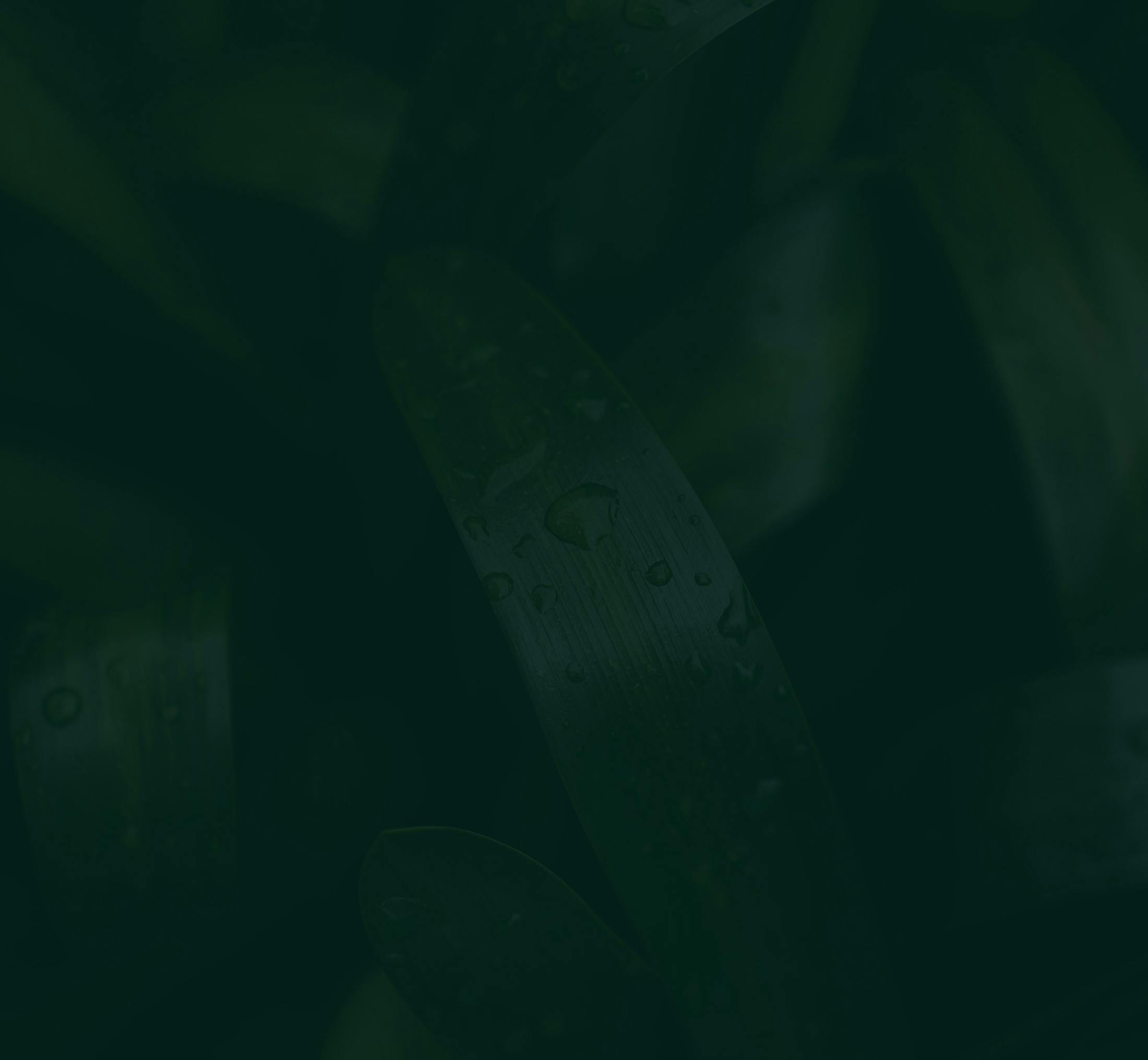 Background media
