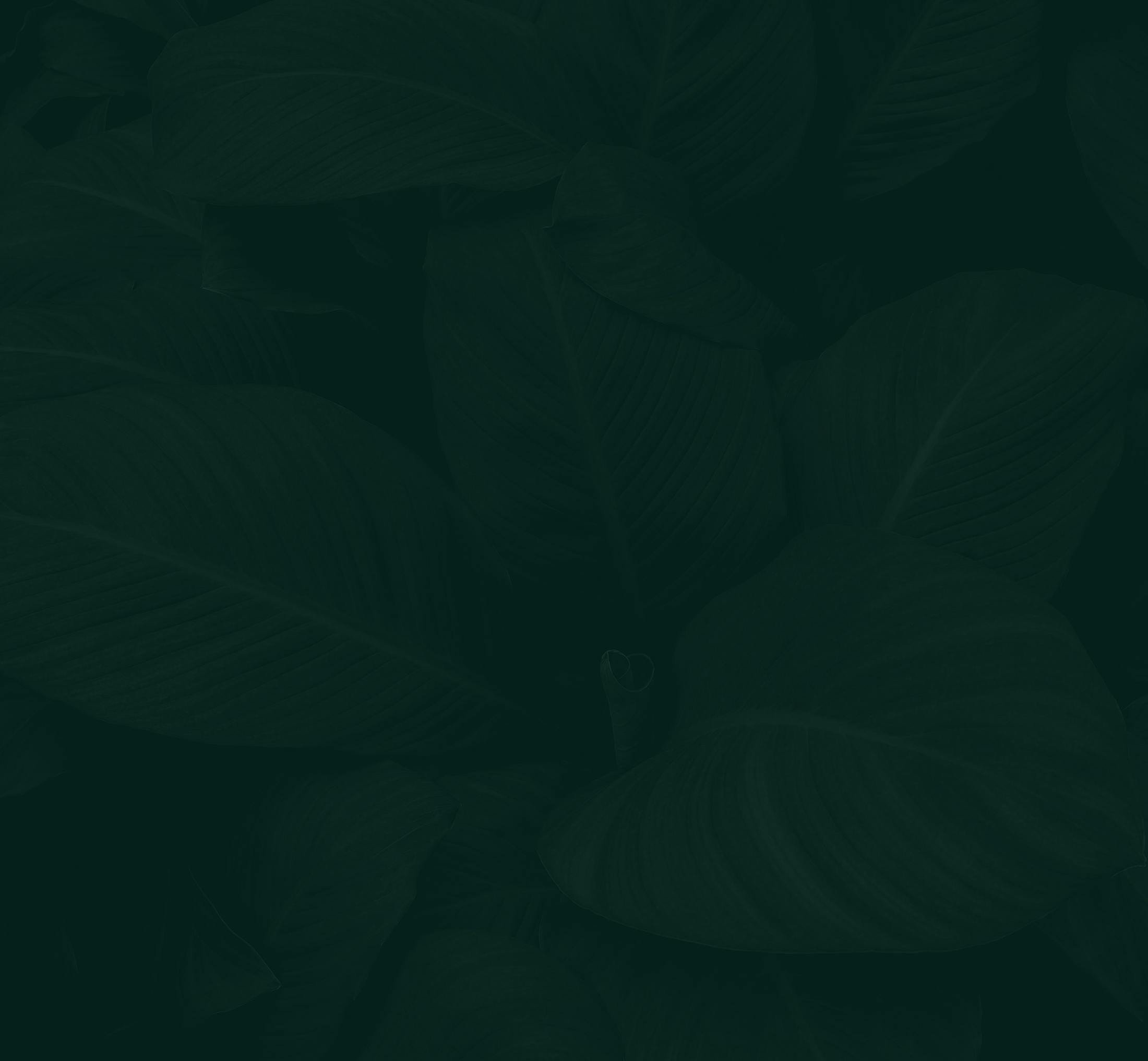 Background media