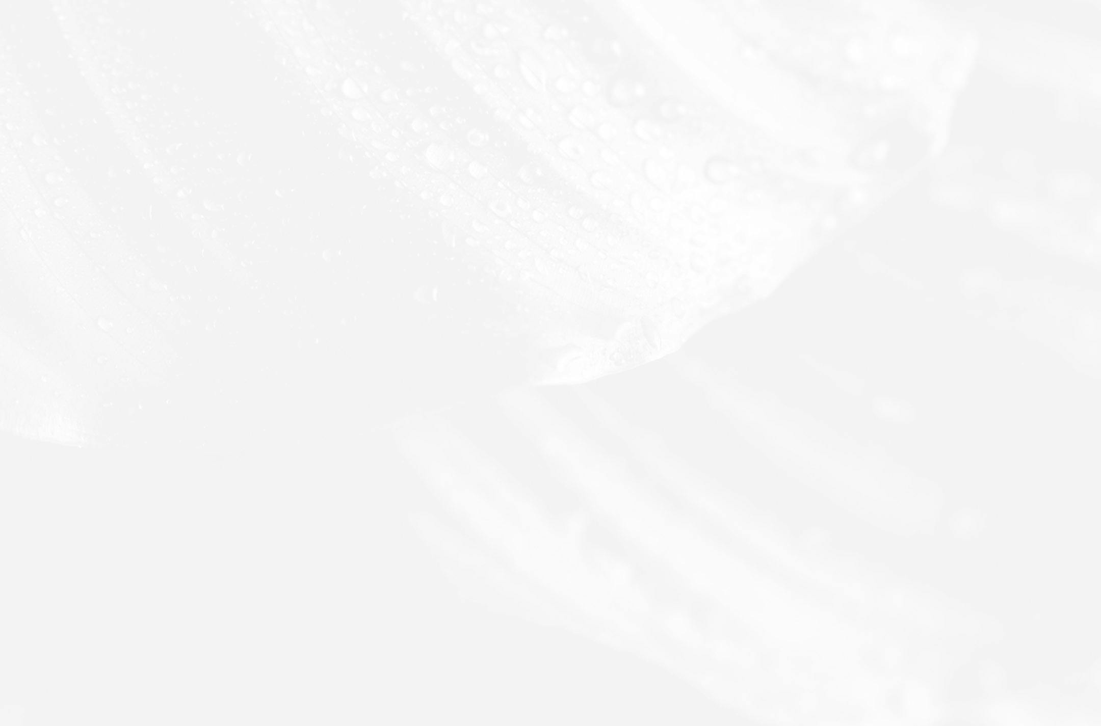 white textured background