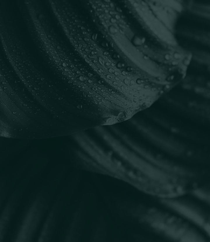 Intro media