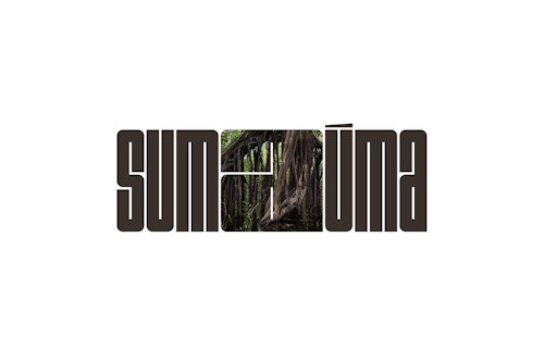 Sumaúma: jornalismo do centro do mundo