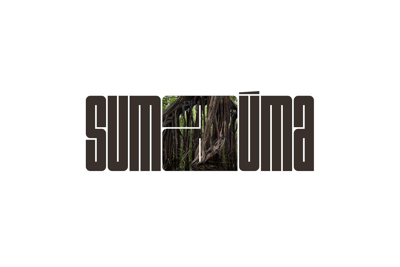Sumaúma: journalism from the center of the world