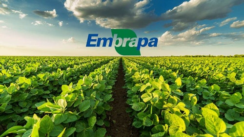 Embrapa