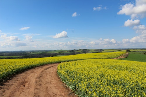 Bioinsumos e agricultura de baixo carbono