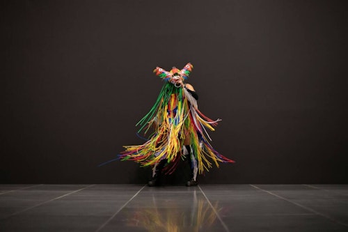 Bienal das Amazônias