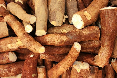Mandioca & Derivados