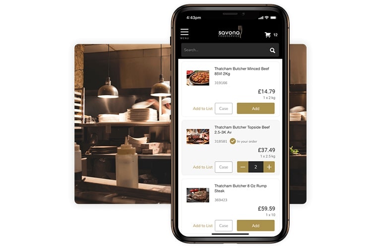443 AI Integration 443 AI Integration app on iPhone with kitchen image behind iPhone