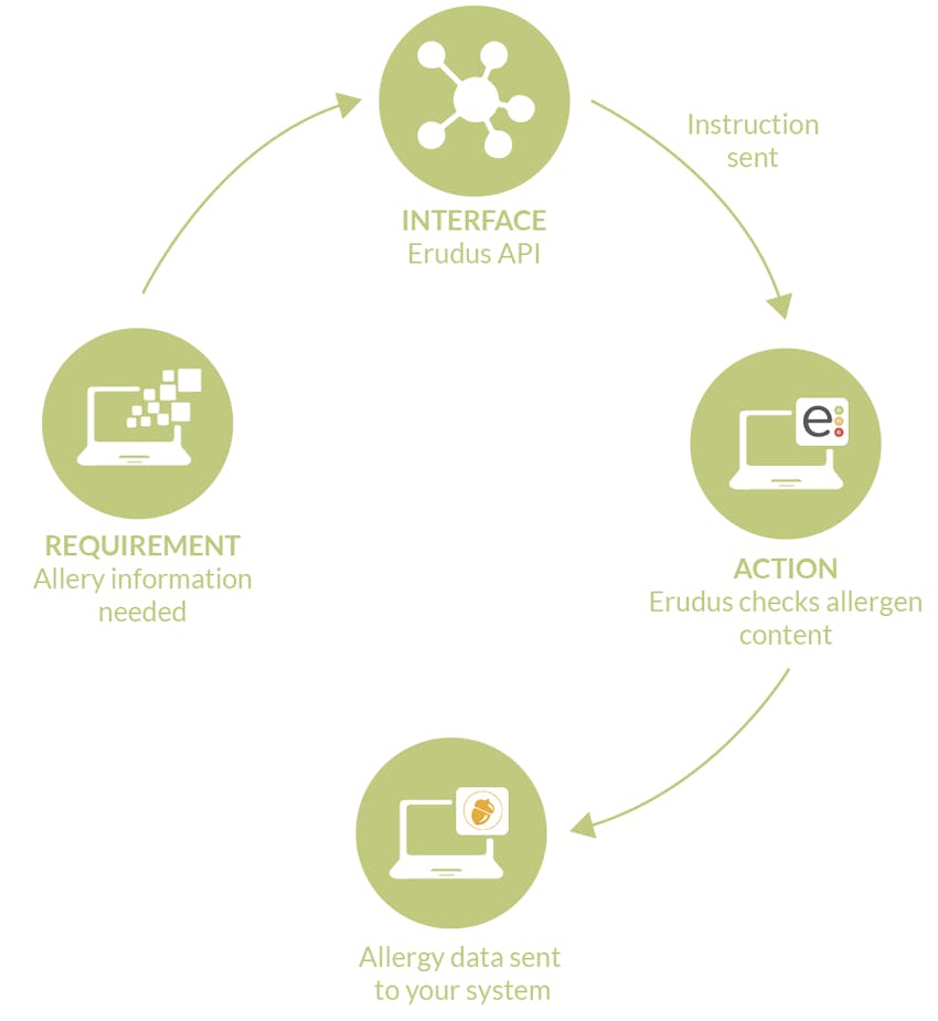 A flowchart of how the Erudus API works with food service business systems 