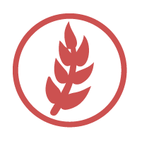 Contains Cereal Containing Gluten