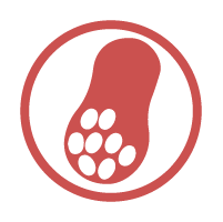 Contains Peanut
