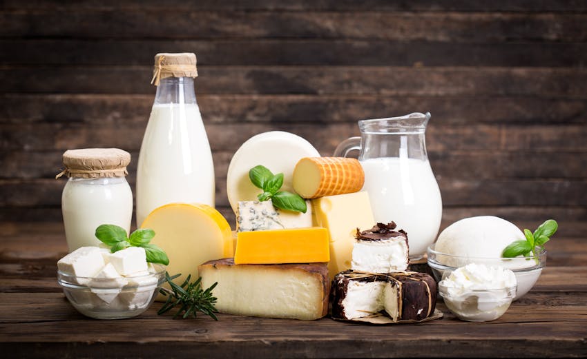 bottles of milk, cheese and cream on a wooden table 