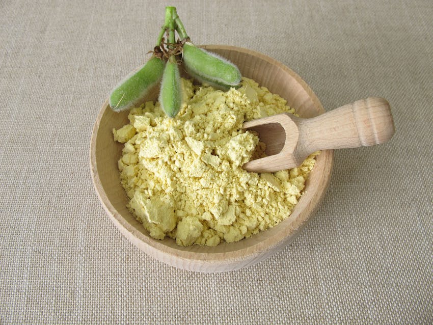 Lupin flour in a wooden bowl with lupin plant placed in the bowl 