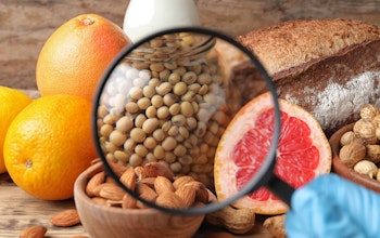 a magnifying glass focusing in on almonds, crustaceans, soyabeans, eggs and grapefruit