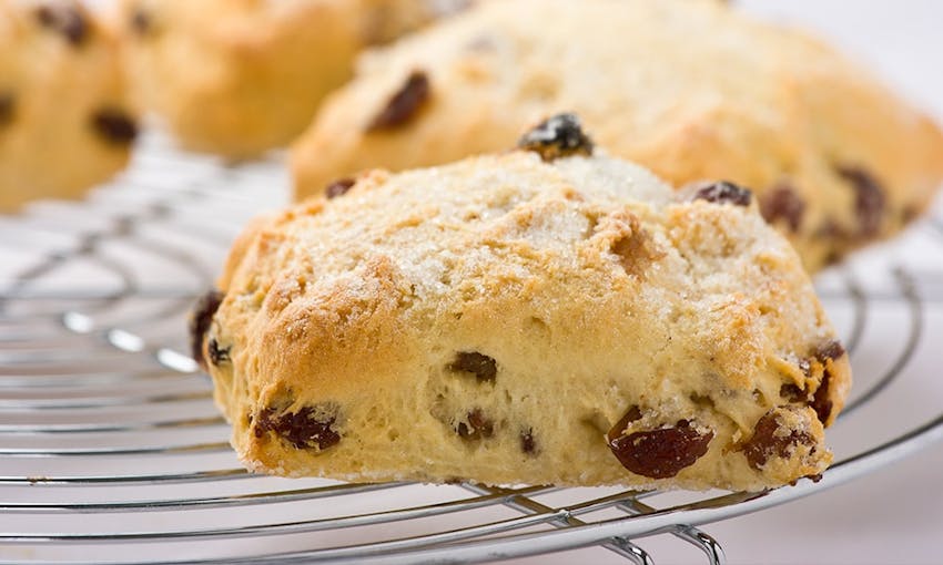 four freshly baked golden rectangular scones with raisins on a silver cooling rack 