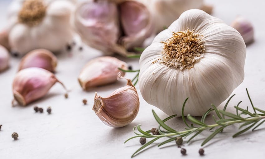 bulb of garlic next to scattered garlic cloves, peppercorns and a sprig of rosemary 