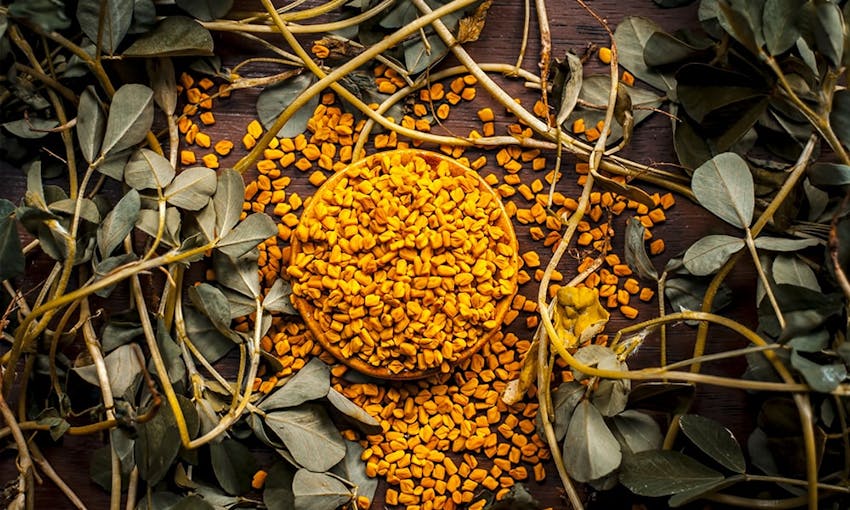 bowl of fenugreek seeds in the centre of a table surrounded by fenugreek leaves 