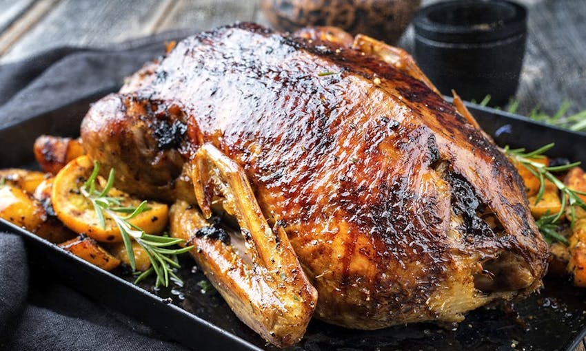 Roasted goose on a baking tray with crispy skin basted with oil and surrounded by roasted oranges 