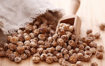 a bag of tiger nuts spilled out onto table with a small wooden rectangular scooper 