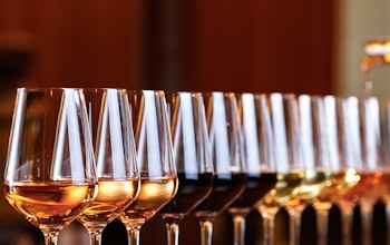 A range of different wines twelve wine glasses in a diagonal line