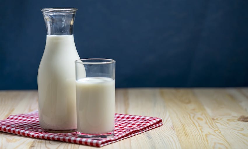 Large glass bottle of milk next to a glass of milk on a red and white checkered tablecloth on a wooden table 