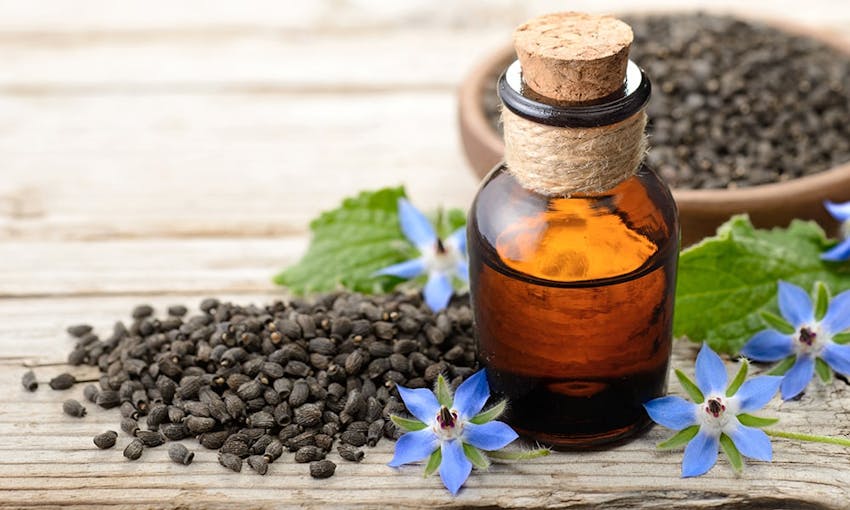 a small corked jar of borage oil next to a pile of borage oil seeds and borage oil plants on a wooden table  