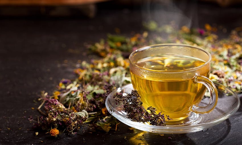 hot herbal tea in a clear glass cup and saucer with herbs and plants sprinkled across the dish and a dark wooden table 