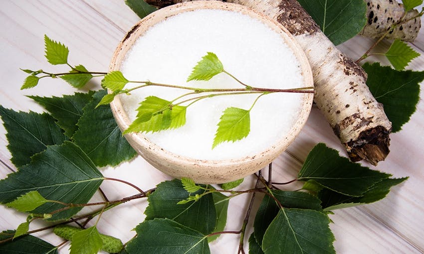 A mini bowl of birch sugar surrounded by leaves and tree bark 