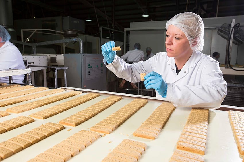 A lady dressed in a lab coat and clear hair net inspecting a finger of shortbread whilst they are being mass produced within a factory 